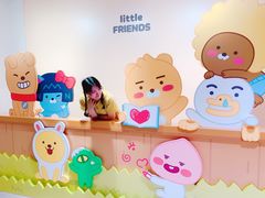 -KAKAO FRIENDS(弘大店)