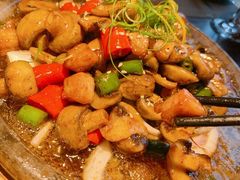 -铂米星座(瑞安店)