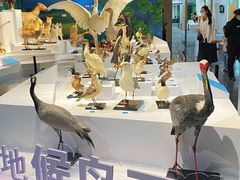 -中国湿地博物馆
