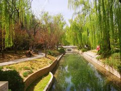 -菖蒲河公园