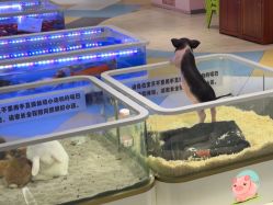 -meland亲子乐园·派对·研学·拼豆(苏州悠方购物中心店)