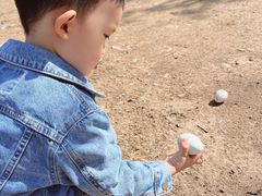 -甜心庄园·甜心草莓采摘园(西青中北店)