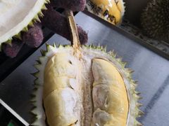 -大树下海鲜饭店