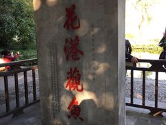 -西湖游船