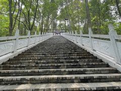 -老君山
