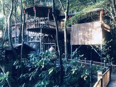 -天门沟九州驿站树上汤泉