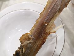 -顺德公美食(西乡店)