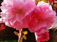 -白塘生态植物园