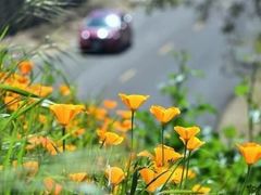 -钱江新城灯光秀