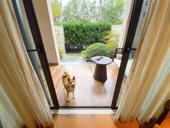 -上海崇明金茂凯悦酒店