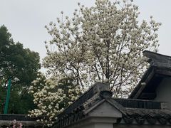 -无锡梅园公园