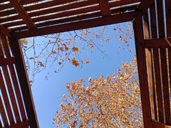 -春晖园度假酒店温泉