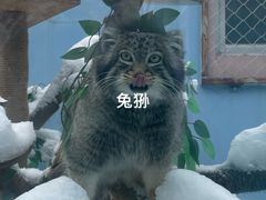 -青藏高原野生动物园
