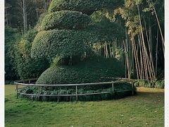 -苏州河梦清园环保主题公园