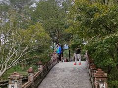 -田野绿世界