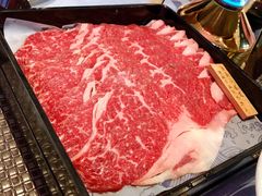 -诺莱仕游艇会