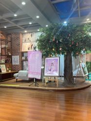 点击看大图 -洛克儿童摄影