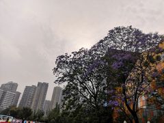 -成都欢乐谷