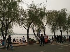 -丁香湖公园