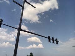 -洨河生态公园