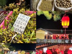 -广东天露山旅游度假区