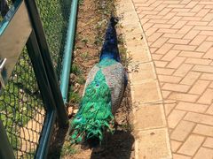 -云南艺术学院(呈贡校区)