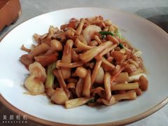 XO酱爆白玉菇虾仁-大树餐厅(红旗街万达店)