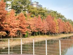 -金山公园