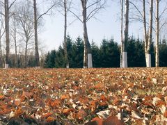 游乐设施-长春世界雕塑园冰雪艺术天地