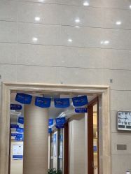 -碧莲盛·不剃发植发