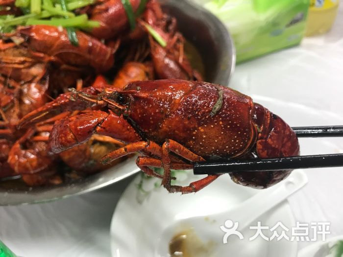 太明龙虾图片 - 第5张