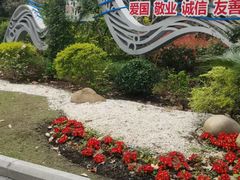 -徐家汇源景区-衡山公园