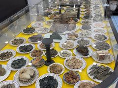 -游龙石文化科普馆