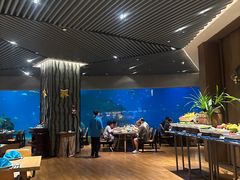 -涛·海底餐厅·美人鱼·自助餐·海底隧道(三亚海棠湾洲际度假酒店)