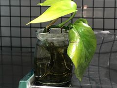 -罗莎蛋糕(松雅湖店)