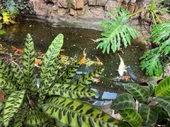 -聚缘堂·海鲜私房菜(松岭路店)