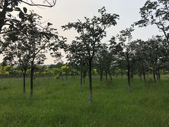 -东郊湿地公园
