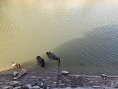 -芭东小镇温泉
