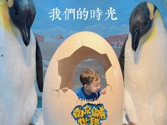 -南京海底世界