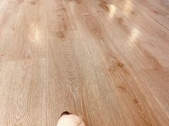-浣熊柯尔鸭土拨鼠·电玩咖