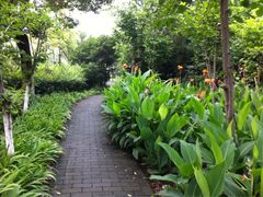 iphone_upload_pic-蠡湖大桥公园