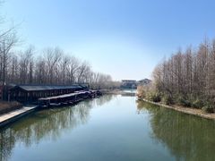 -溱湖国家湿地公园