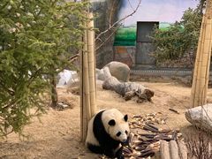 -青藏高原野生动物园