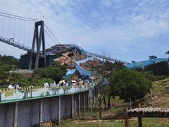 -西霞口神雕山野生动物世界