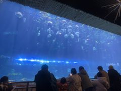 -华夏文旅西安度假区