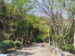 -小南山公园