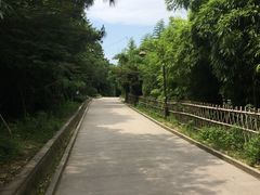 -永康小长城