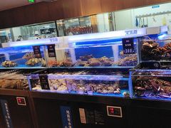 -同庆楼(天鹅酒家店)