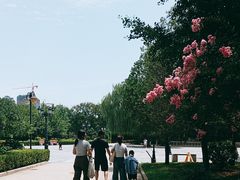 -西安青龙寺遗址景区