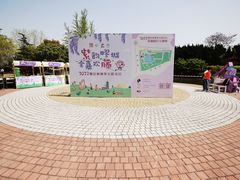 -嘉定紫藤园